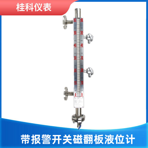 带报警开关磁翻板液位计